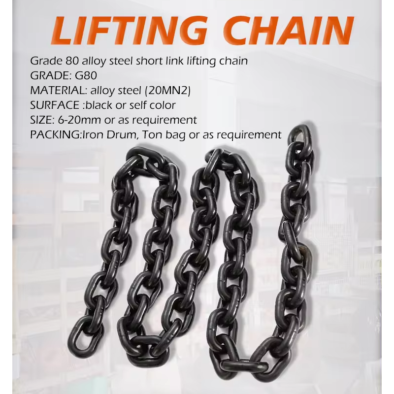 Lifting Chain
