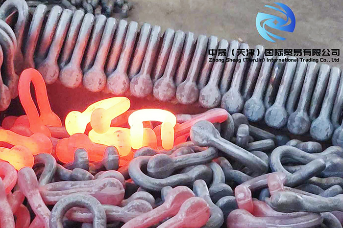 Zhong Sheng Team Strengthens Expertise Through Factory Visits in Hebei